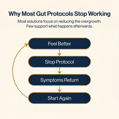 Prevalia Liposomal Oregano Softgels
